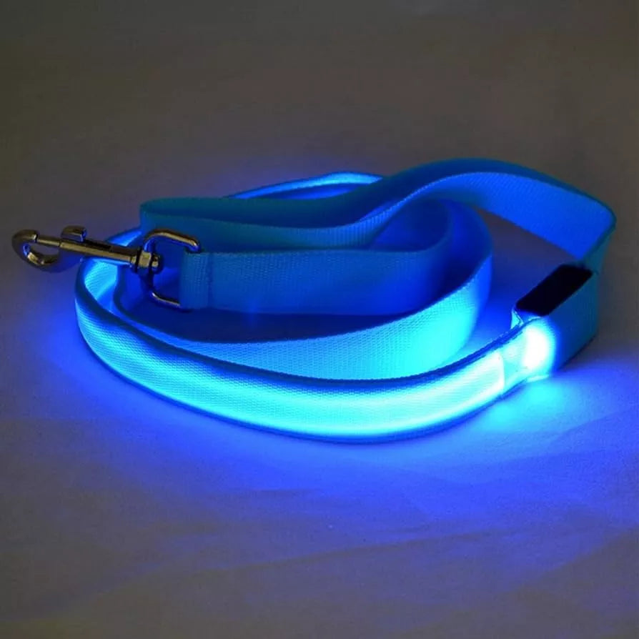 Correas Iluminada Mascotas