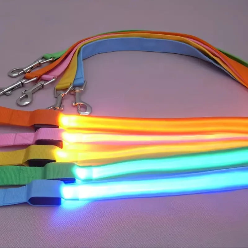 Correas Iluminada Mascotas