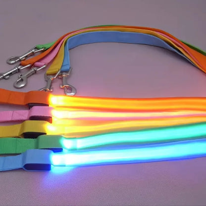 Correas Iluminada Mascotas