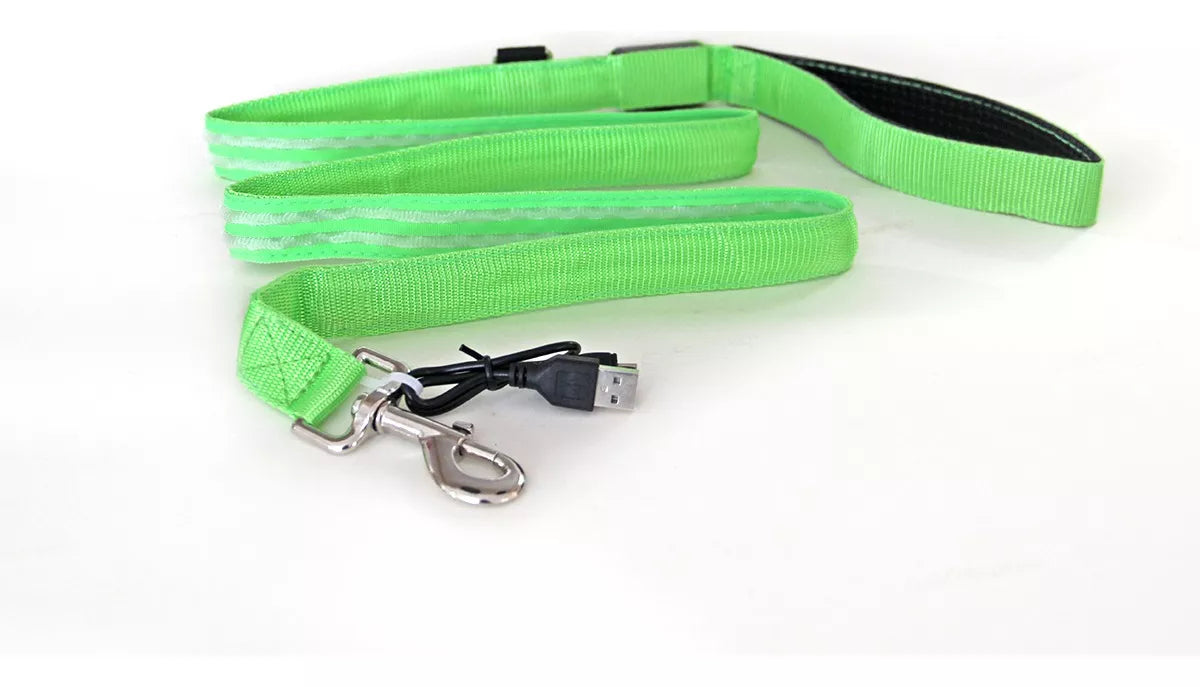 Correas Iluminada Mascotas